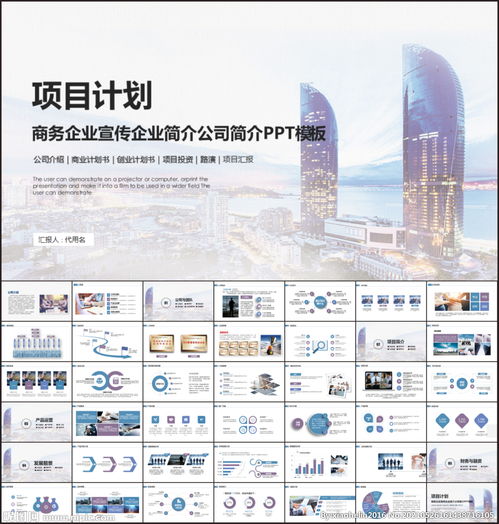 商业项目计划书ppt